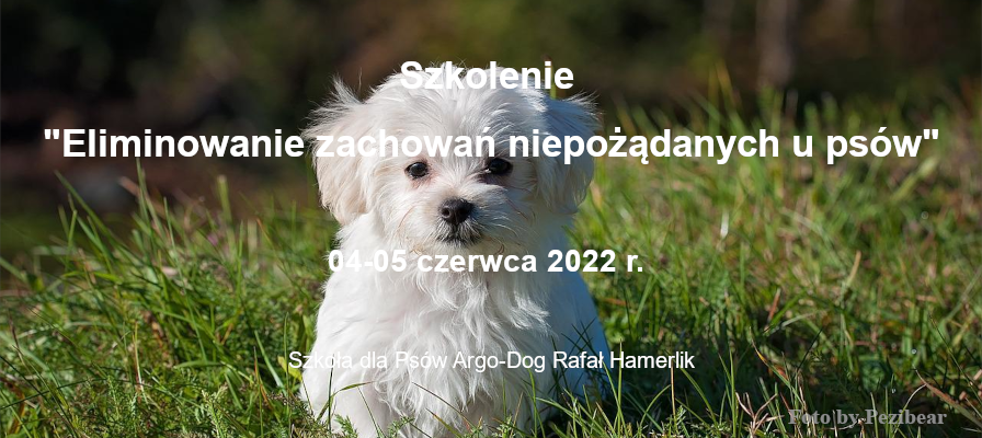 04-05 czerwca 2022 r. szkolenia nt. Eliminowania zachowań niepożądanych u psów