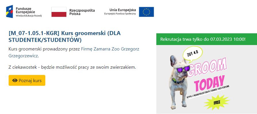 KURS GROOMERSKI DLA NASZYCH STUDENTÓW